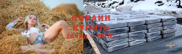 дживик Богородск
