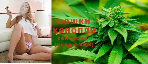 амф Богородицк