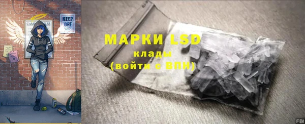 дживик Богородск
