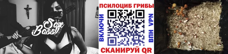 даркнет телеграм Короча Псилоцибиновые грибы MAGIC MUSHROOMS купить закладку